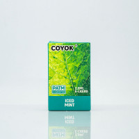 Coyok Iced Mint (Мята)